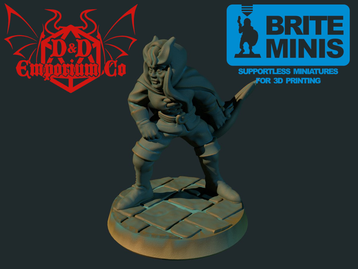 Resin 3D Printed Tiefling Feminine